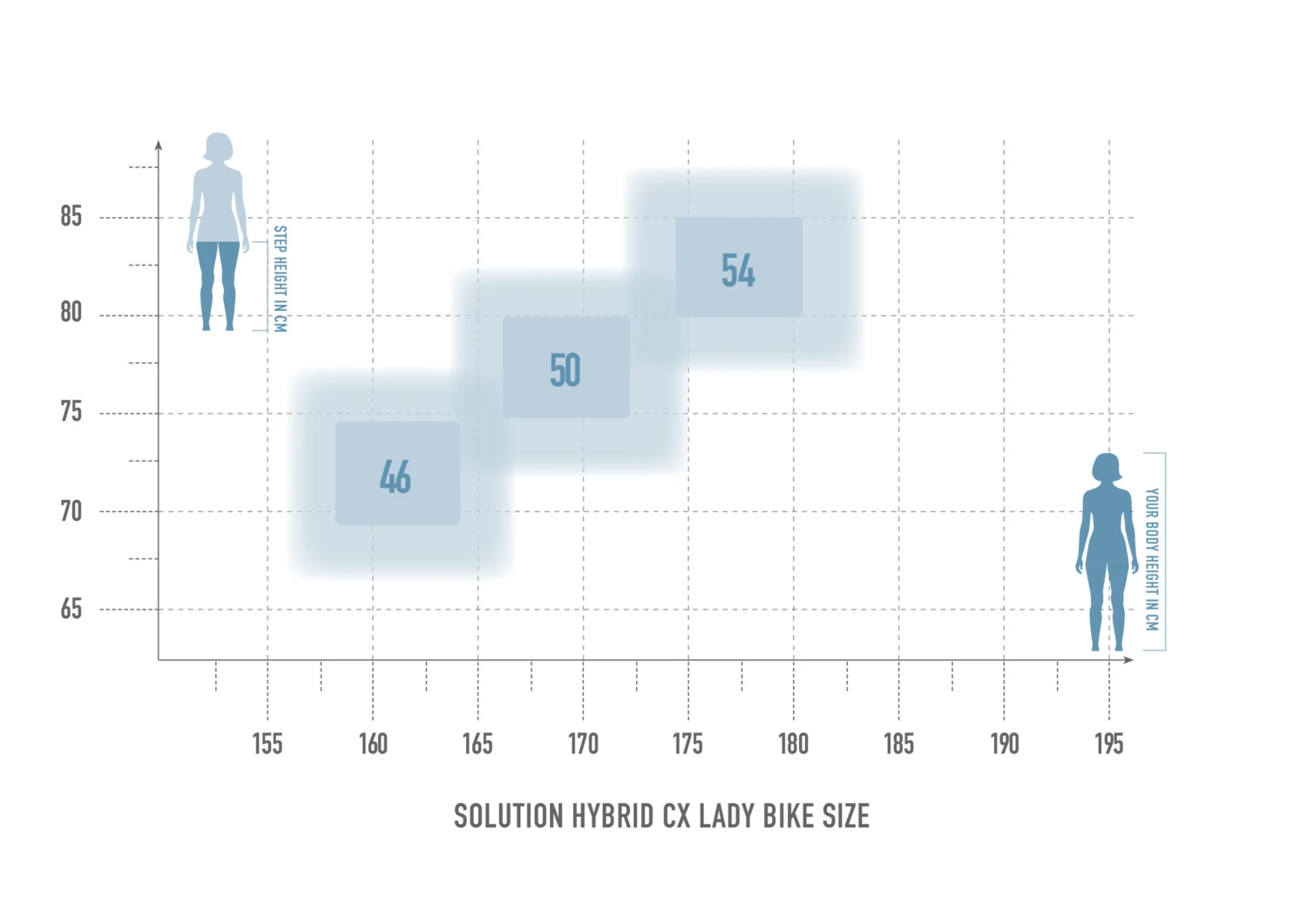 Solution Hybrid 8.0 Lady CX 500 – Bild 2
