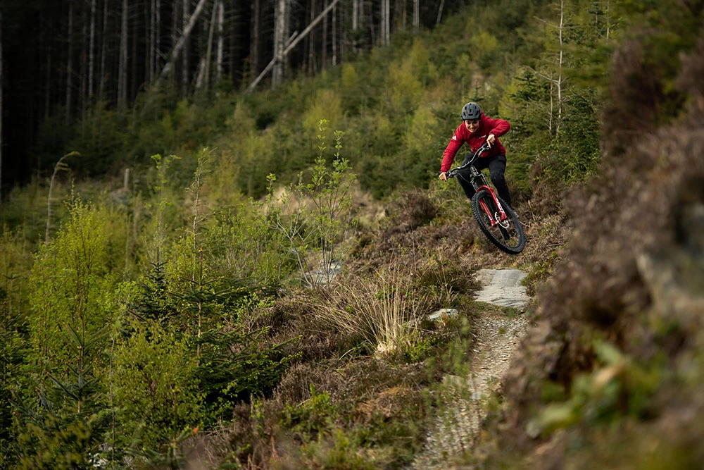 Santa Cruz Bronson C S – Bild 2