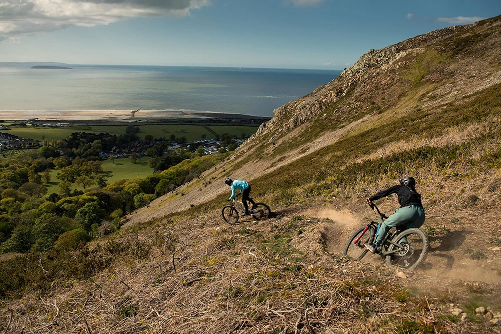 Santa Cruz Bronson C S – Bild 5